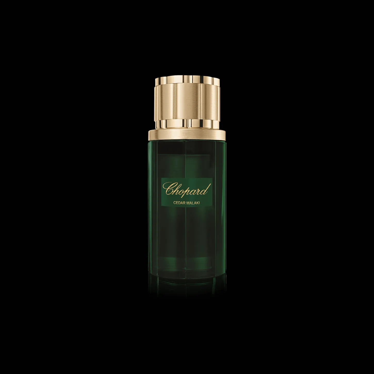 Cedar Malaki
