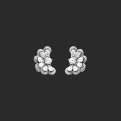 Precious Lace Nuage