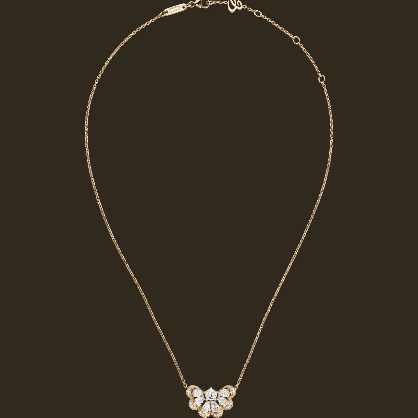 Precious Lace Nuage