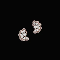 Precious Lace Nuage
