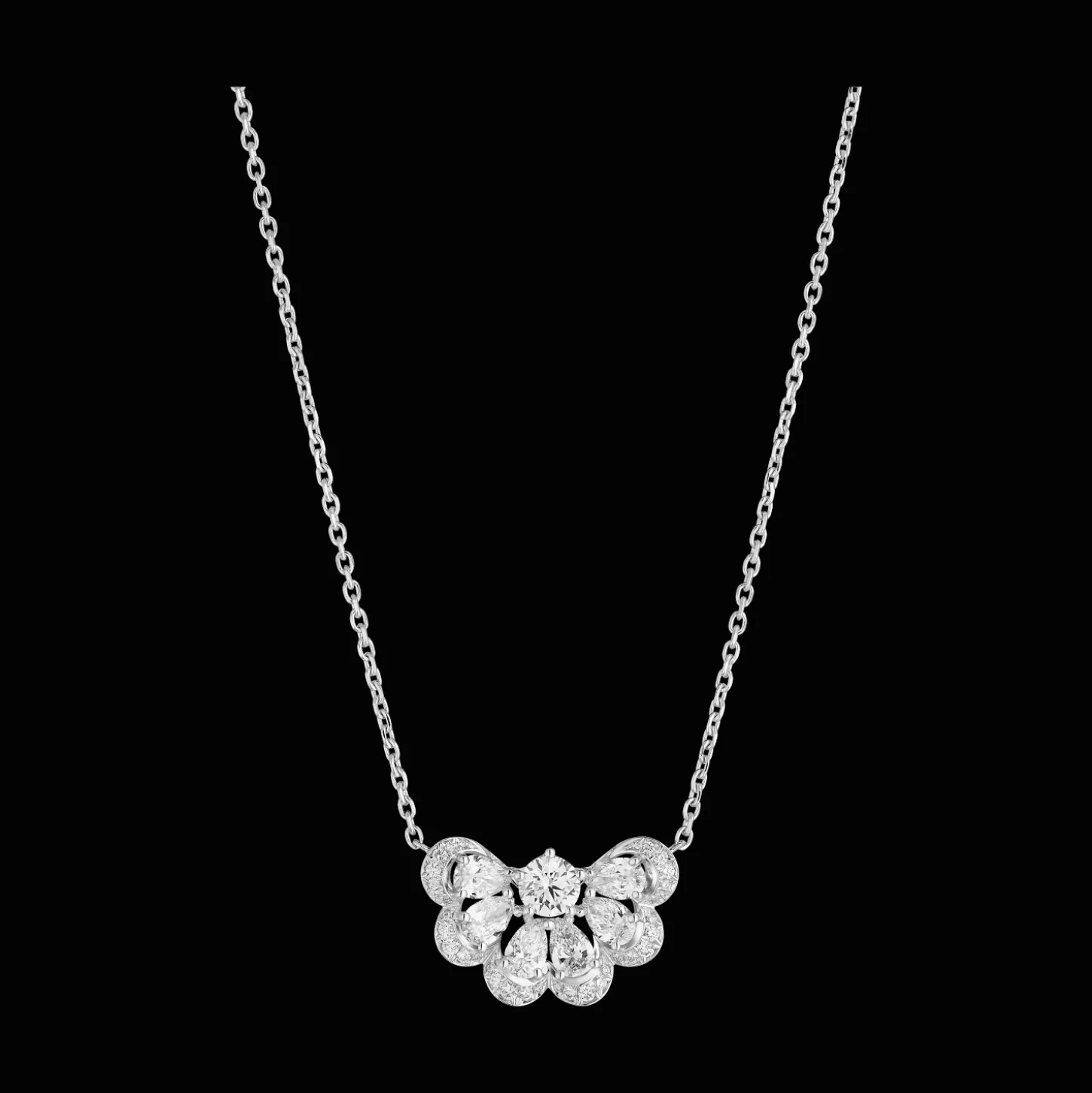 Precious Lace Nuage