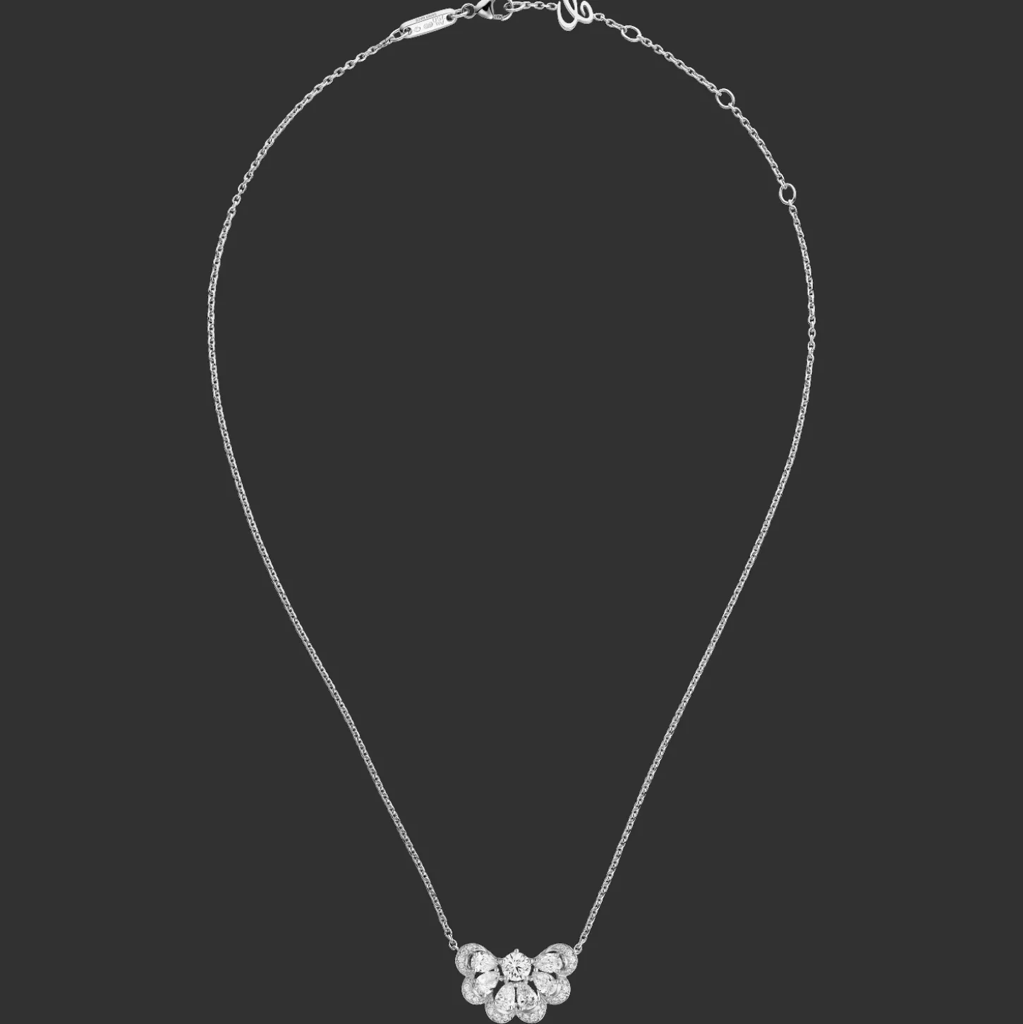 Precious Lace Nuage