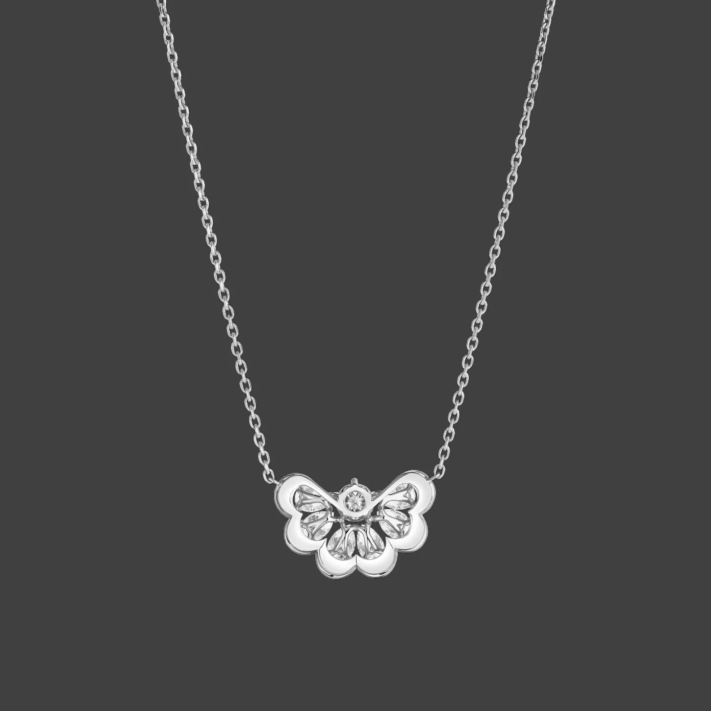 Precious Lace Nuage