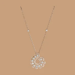 Precious Lace Vague