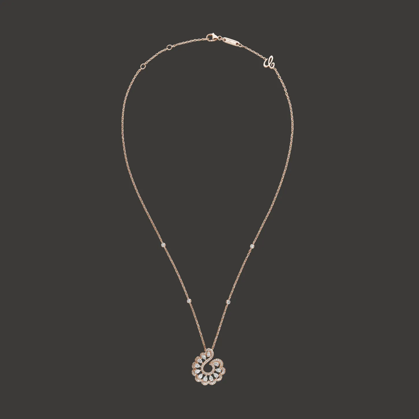 Precious Lace Vague
