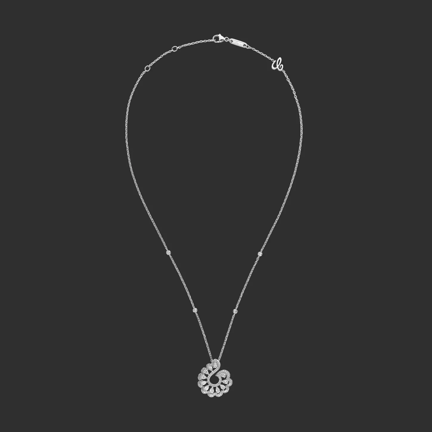 Precious Lace Vague